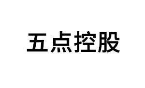 五点控股品牌LOGO图片