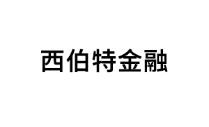 西伯特金融品牌LOGO图片