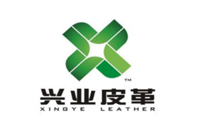 兴业科技品牌LOGO图片