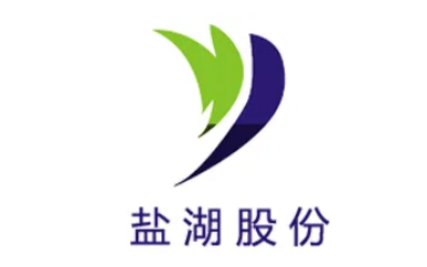 盐湖股份品牌LOGO图片