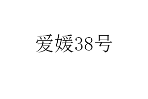 爱媛38 号品牌LOGO图片