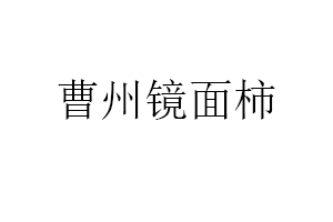 曹州镜面柿品牌LOGO图片