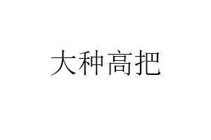 大种高把品牌LOGO图片