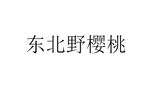 东北野樱桃品牌LOGO图片