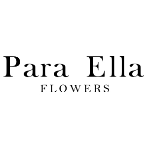 Para Ella品牌LOGO图片