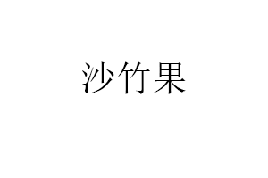 沙竹果品牌LOGO