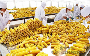 穗穗粘品牌LOGO图片