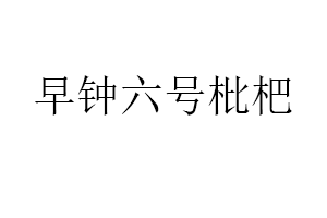 早钟六号枇杷品牌LOGO图片