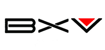 BXV品牌LOGO图片