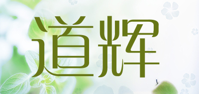 道辉品牌LOGO图片