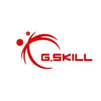 G.SKILL/芝奇品牌LOGO图片