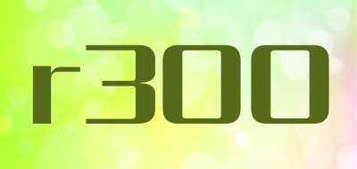 r300品牌LOGO图片
