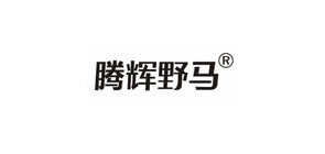 腾辉野马品牌LOGO图片