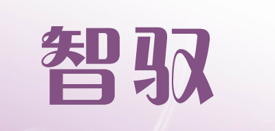 智驭品牌LOGO图片