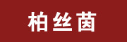 柏丝茵品牌LOGO图片