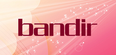 bandir品牌LOGO