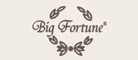 BigFortune品牌LOGO图片