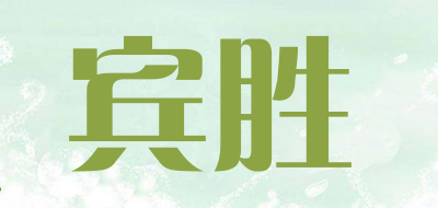 BINSHENG/宾胜品牌LOGO图片