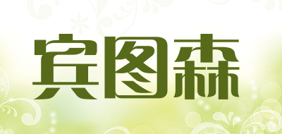 宾图森LOGO