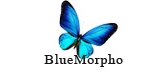 bluemorpho品牌LOGO图片