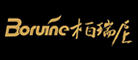 Boruine/柏瑞尼品牌LOGO图片