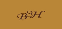 bsh品牌LOGO图片