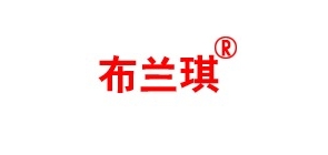 布兰琪服饰品牌LOGO图片