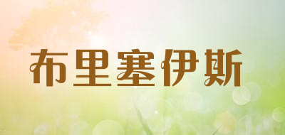 布里塞伊斯品牌LOGO图片