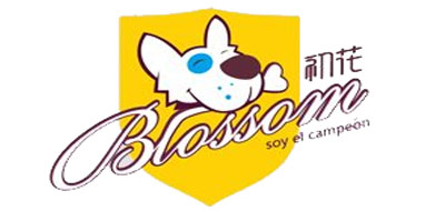 BLOSSOM/初花LOGO