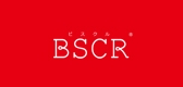 bscr品牌LOGO图片