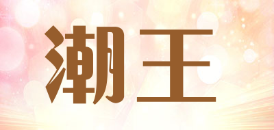 潮王LOGO