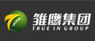 雏鹰LOGO