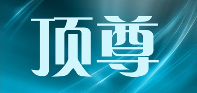 DINGZUN/顶尊品牌LOGO图片