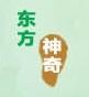 dongfangshenqi/东方神奇品牌LOGO图片