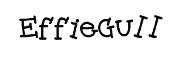 EffieGull品牌LOGO图片