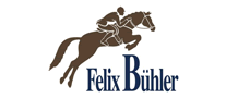 FelixBuhler/飞力飚马品牌LOGO图片