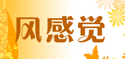 风感觉品牌LOGO图片