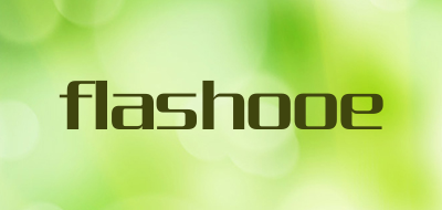 flashooe品牌LOGO图片