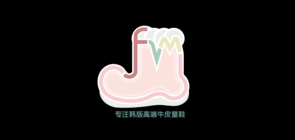 fvm品牌LOGO图片