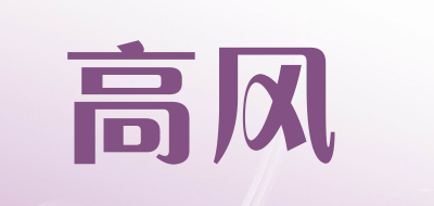 高风LOGO