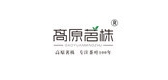 高原茗株品牌LOGO图片