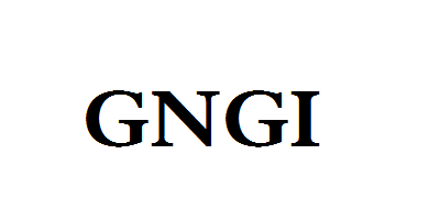 GNGI品牌LOGO图片