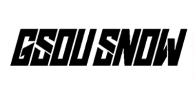 Gsou SnowLOGO