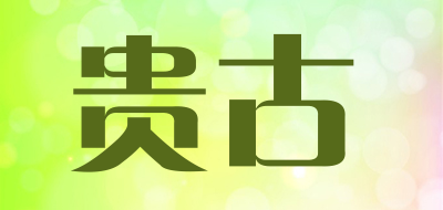 parvenugo/贵古品牌LOGO图片