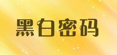 黑白密码品牌LOGO图片