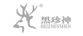 黑珍神品牌LOGO图片