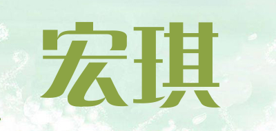 宏琪LOGO