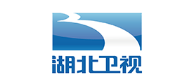 湖北卫视品牌LOGO图片