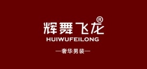 辉舞飞龙品牌LOGO图片