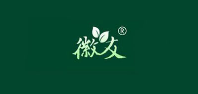 徽友品牌LOGO图片